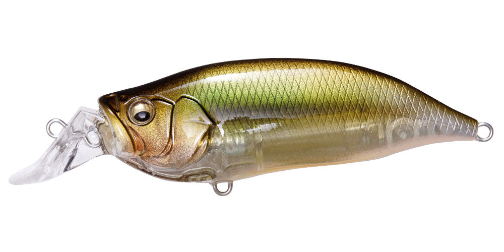 I x I SHAD TYPE-R - Megabass