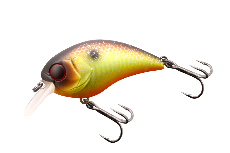 MUSHBOB - JACKALL