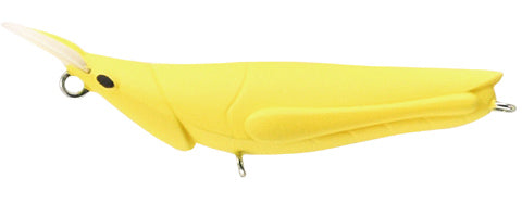 elfin Onbuhatta - TACKLE HOUSE