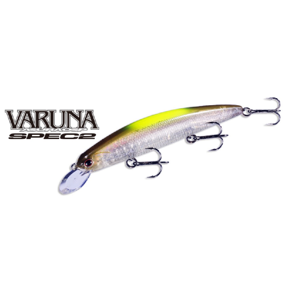 ASURA VARUNA SPEC2 110 SF - O.S.P