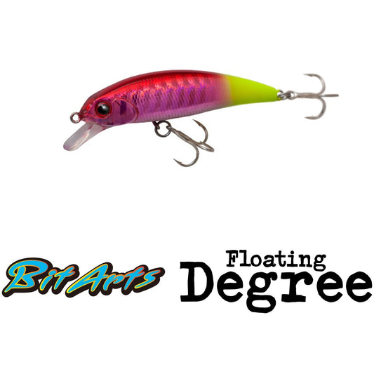 BitArts Floating Degree - PALMS