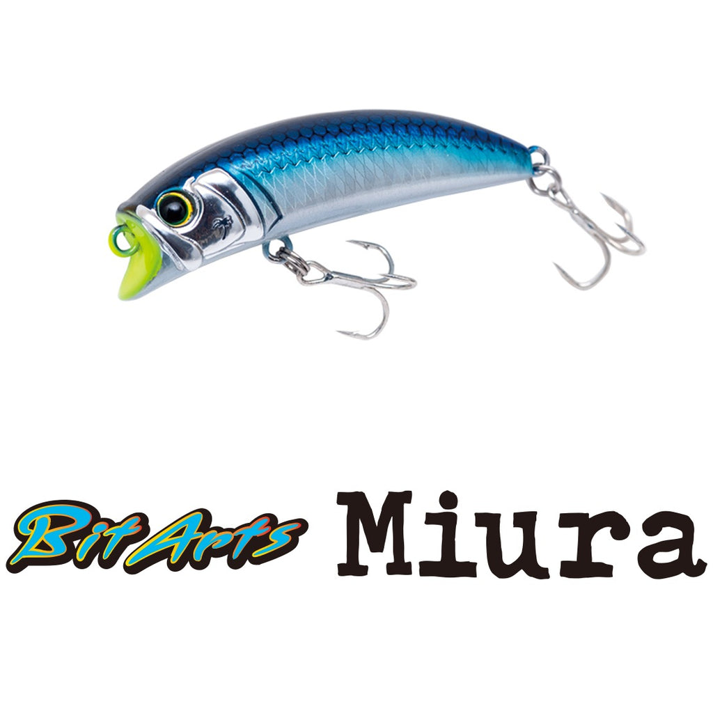 BitArts Miura - PALMS