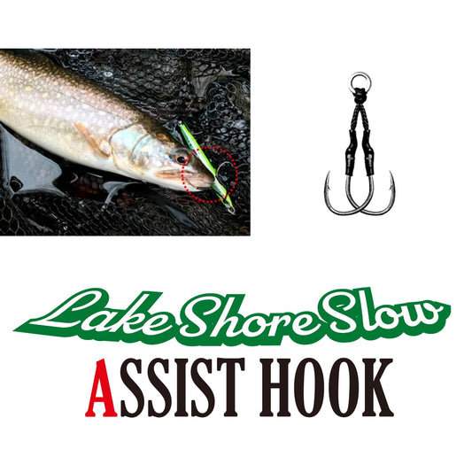 Lake Shore Slow ASSIST HOOK - PALMS
