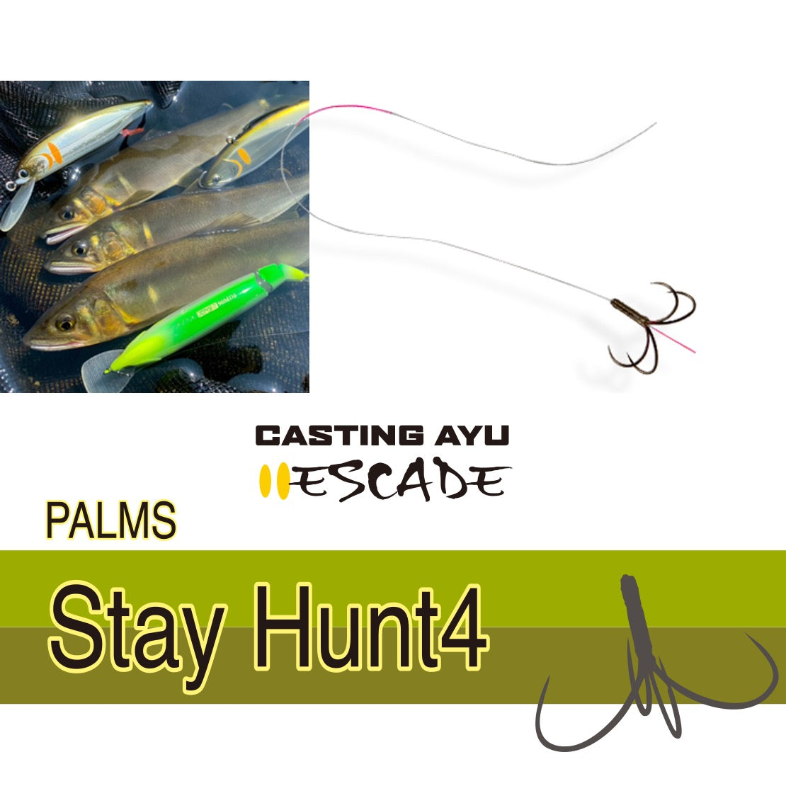 Stay Hunt4 - PALMS