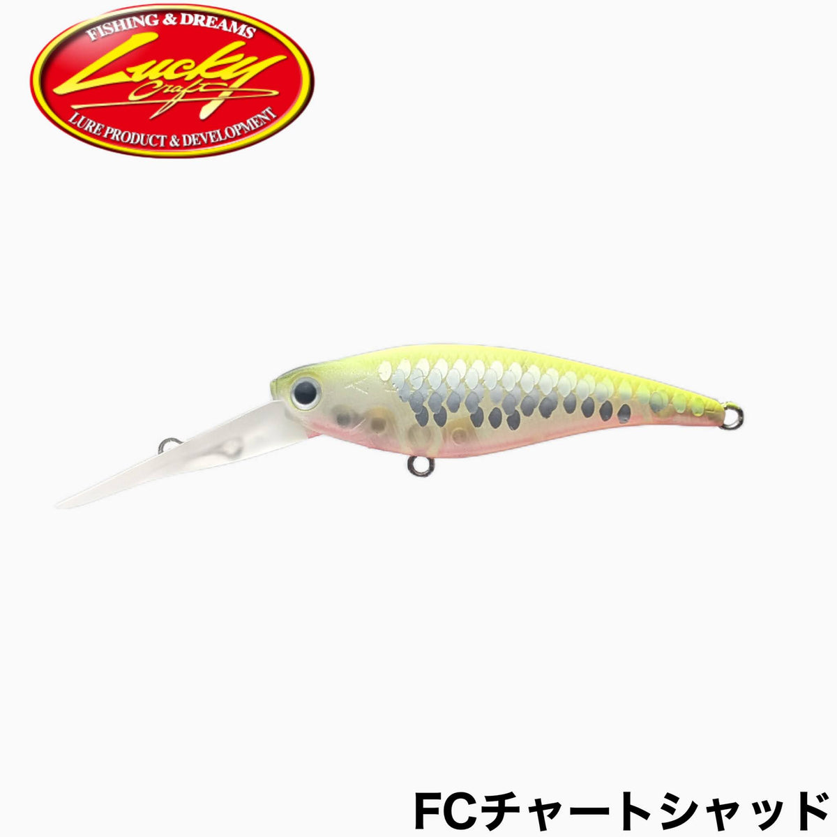 Baby Shad 60FC RISE UP x GB - Justace
