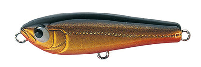 elfin Platy - TACKLE HOUSE