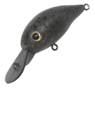 MiWA Cra MR - IVY LINE