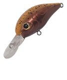 MiWA Cra MR - IVY LINE