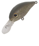 MiWA Cra MR - IVY LINE