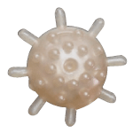 Marshmallow Ball Blackthroat Seaperch SP - YAMASHITA