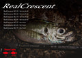 RealCrescent - Ripple Fisher