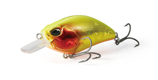 REALIS 55SR KABUKI - DUO