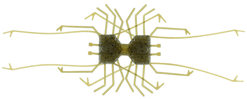 Dumbbell CRAB - IMAKATSU