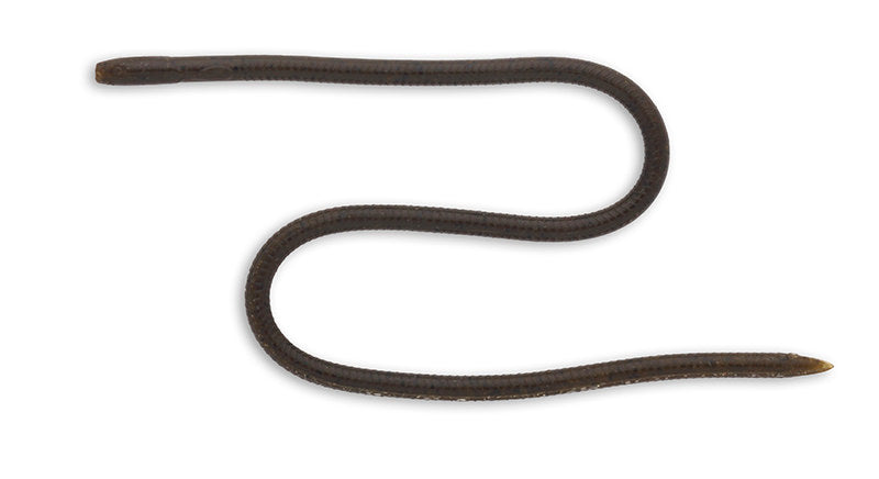 Skinny eel Crawler 12inch - IMAKATSU
