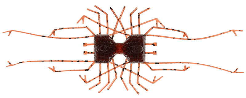 Dumbbell CRAB - IMAKATSU