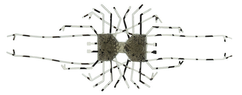 Dumbbell CRAB - IMAKATSU