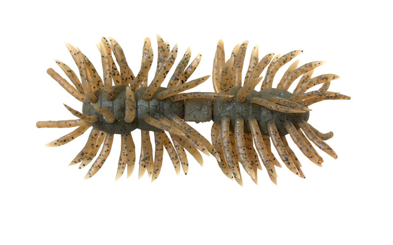 Hairy Spider Kujala - IMAKATSU