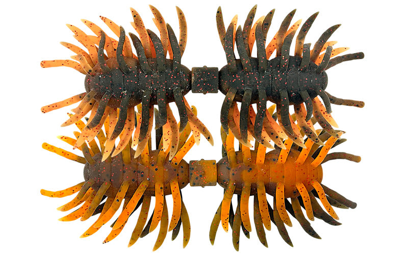 Hairy Spider Kujala - IMAKATSU