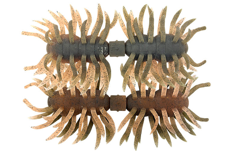 Hairy Spider Kujala - IMAKATSU