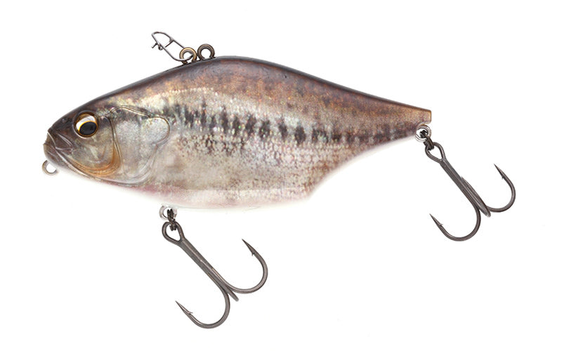 Magnum Gill Sonic - IMAKATSU