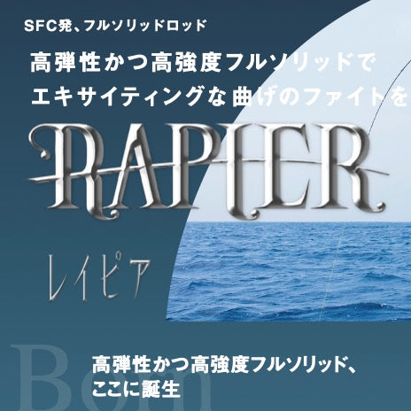 RAPIER 511 - SEAFLOOR CONTROL