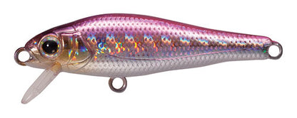 SHORES Fish - TACKLE HOUSE
