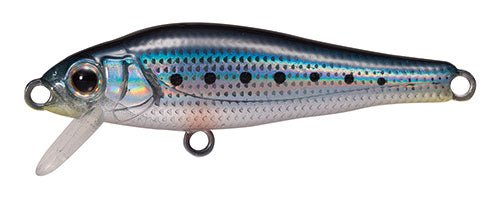 SHORES Fish - TACKLE HOUSE