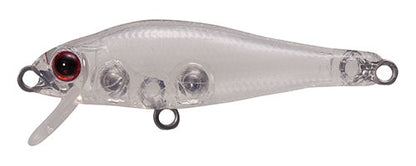 SHORES Fish - TACKLE HOUSE