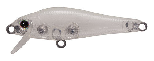 SHORES Fish - TACKLE HOUSE