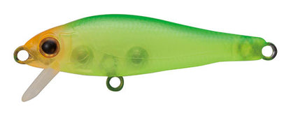 SHORES Fish - TACKLE HOUSE