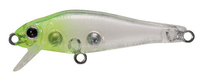 SHORES Fish - TACKLE HOUSE