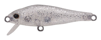 SHORES Fish - TACKLE HOUSE