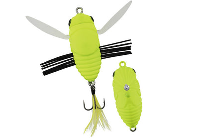 REALIS SHINMUSHI - DUO