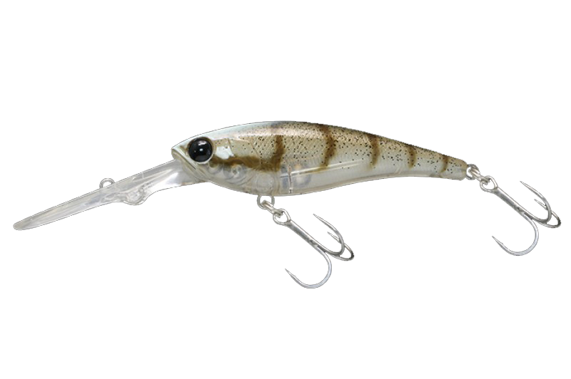 SOUL SHAD 62 - JACKALL