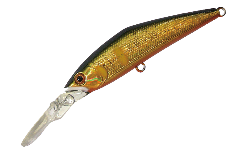 D-DIRECT 55 - SMITH