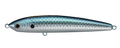 SARDINE RUN - SMITH