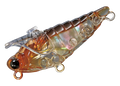 DAIBISEN SHELL - SMITH