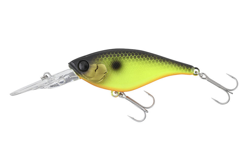 SOUL FLAT - JACKALL