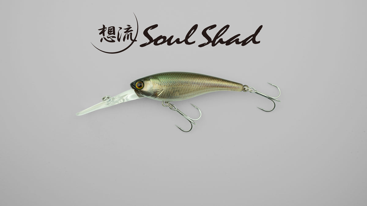 SOUL SHAD - JACKALL