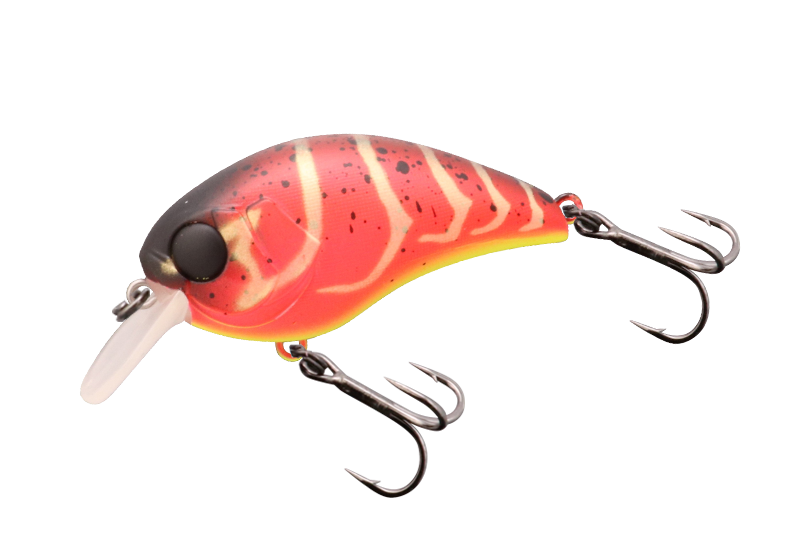 MUSHBOB - JACKALL