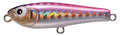 SHORES Platy - TACKLE HOUSE