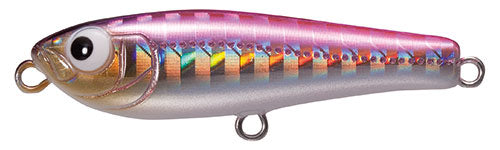 SHORES Platy - TACKLE HOUSE