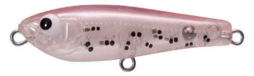 SHORES Platy - TACKLE HOUSE