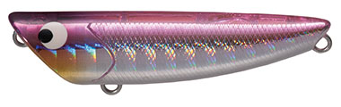 SHORES Ripple - TACKLE HOUSE