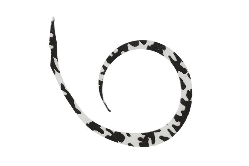 BINBIN SWITCH MICRO CURLY WIDE/SLIM - JACKALL