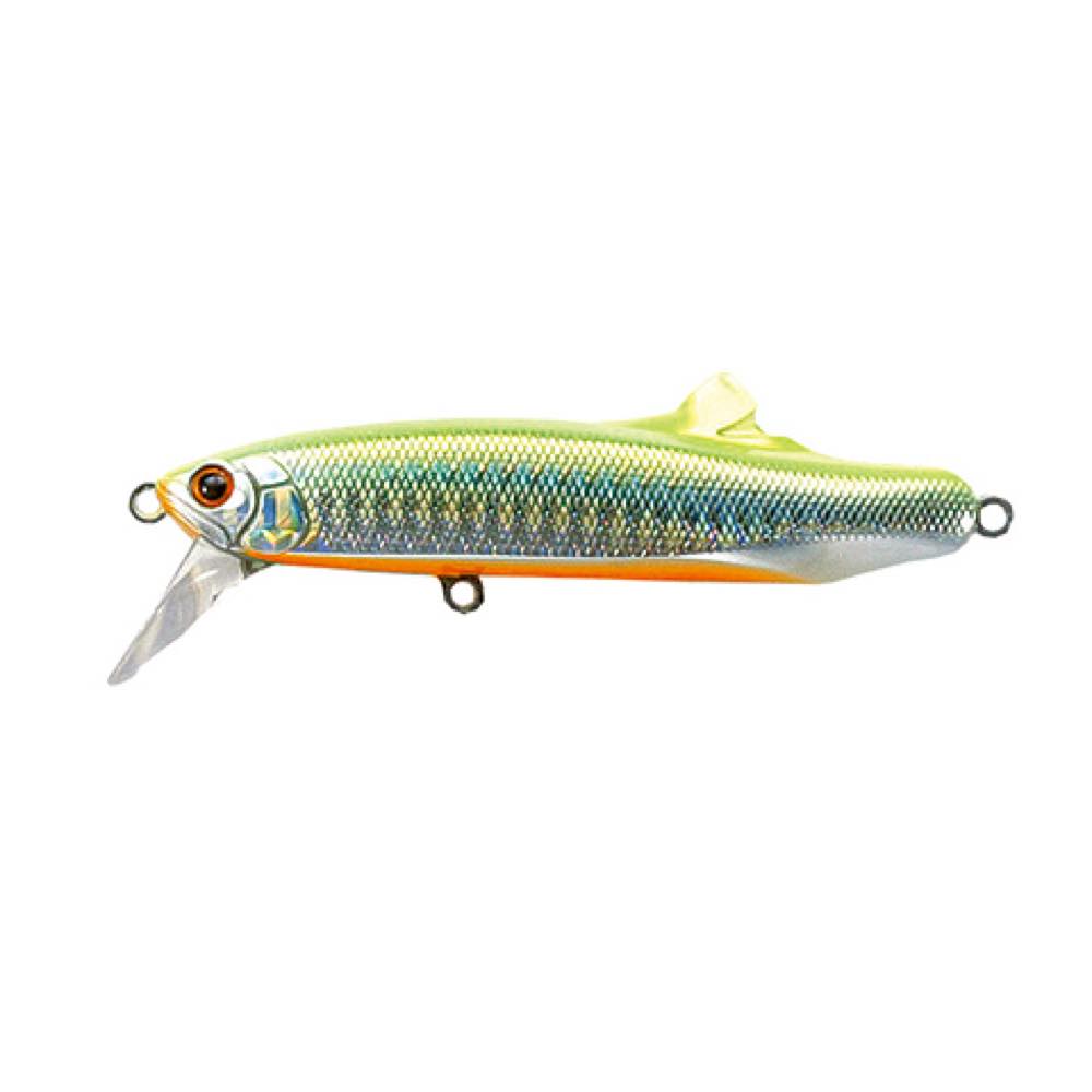 CONTACT FRITZ - TACKLE HOUSE