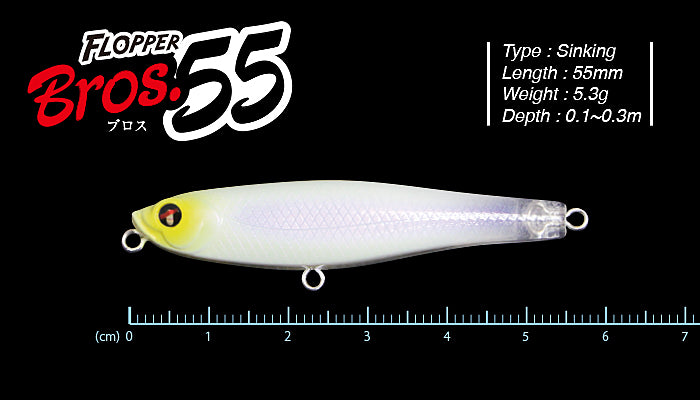 FLOPPER BROS 55 - TICT