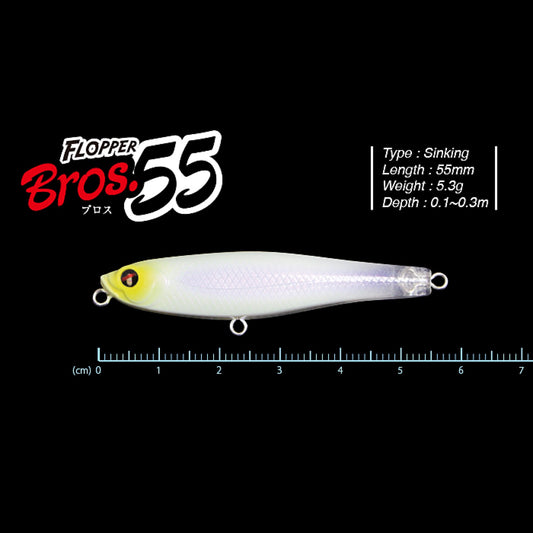 FLOPPER BROS 55 - TICT