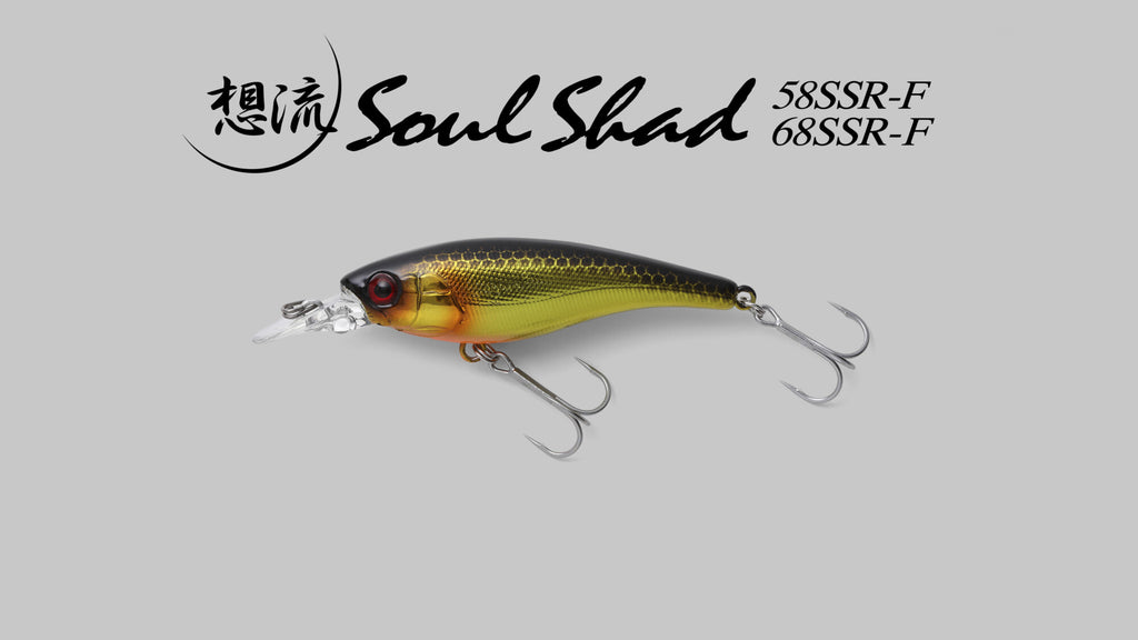 Soul Shad SSR-F - JACKALL