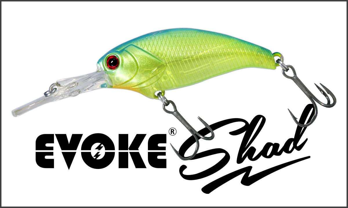 EVOKE SHAD MR - deps